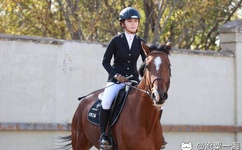 暖暖视频在线观看视频动漫